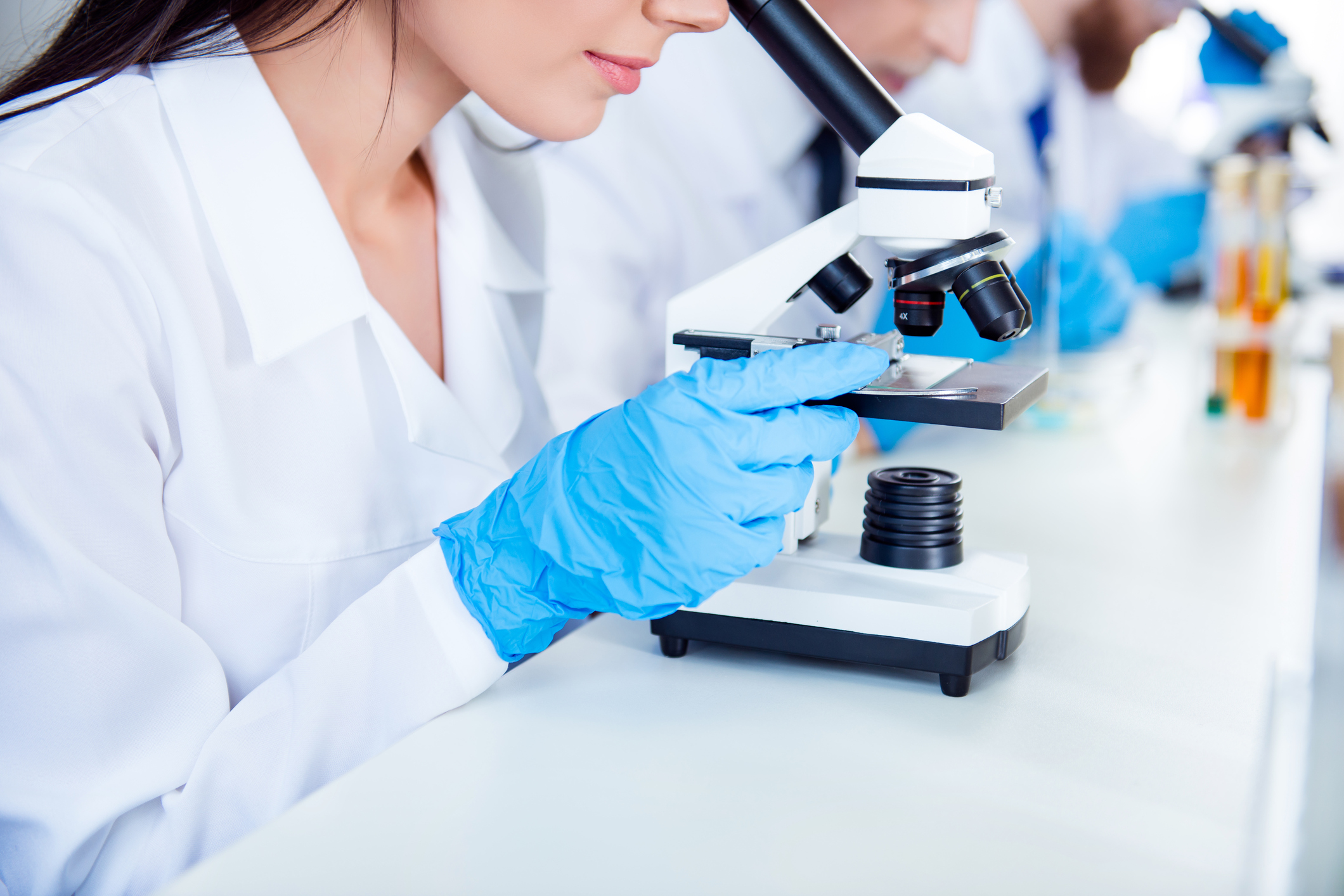 Close up cropped photo of work of the lab team. They are concentrated on discovering innovations of health industry.