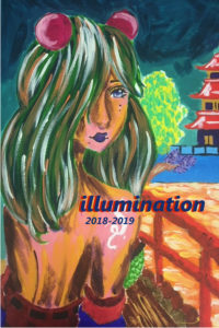 Cover for illumination 2018 - 2019