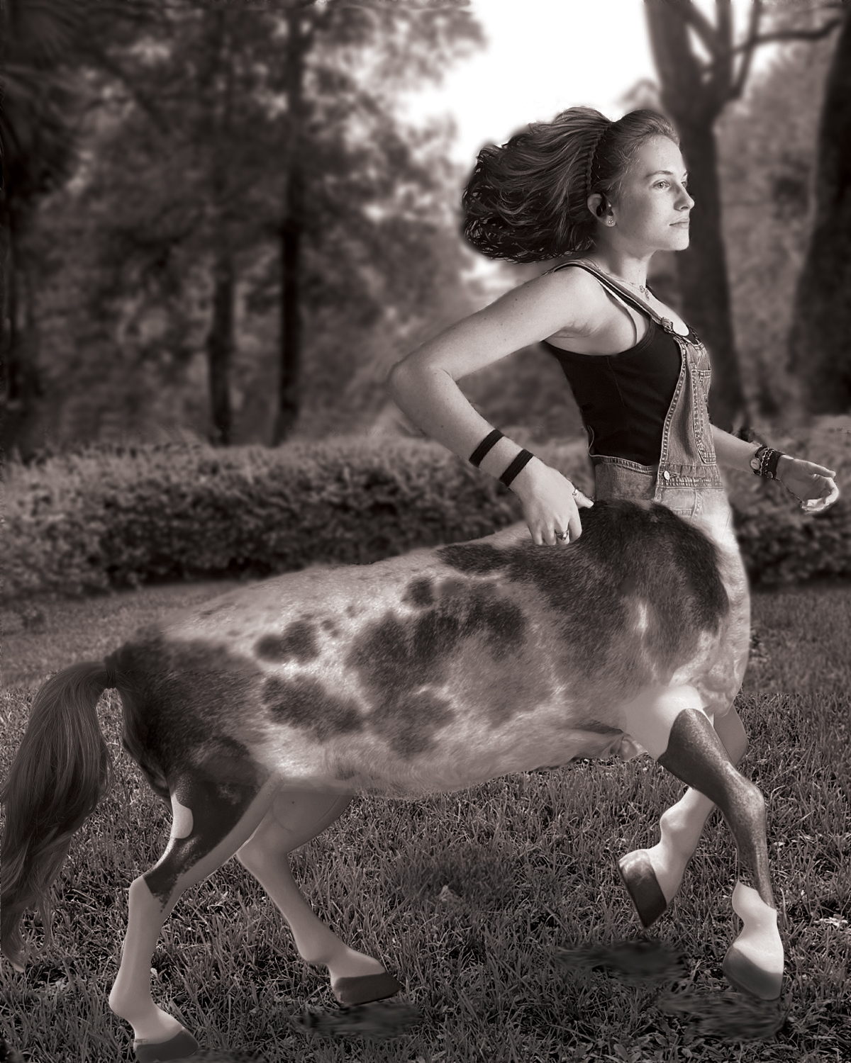 “Centaur” by Sofia Sewell 